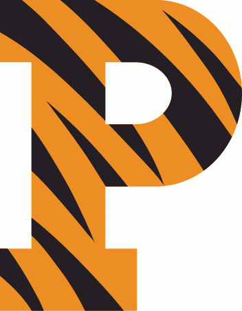 Princeton Tigers 1984-Pres Primary Logo iron on transfers for clothing